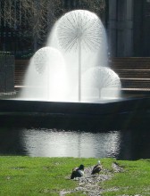 Водная сфера 1500, Water Sphere 1500